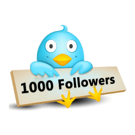 How I Gained My First 1000 Twitter Followers